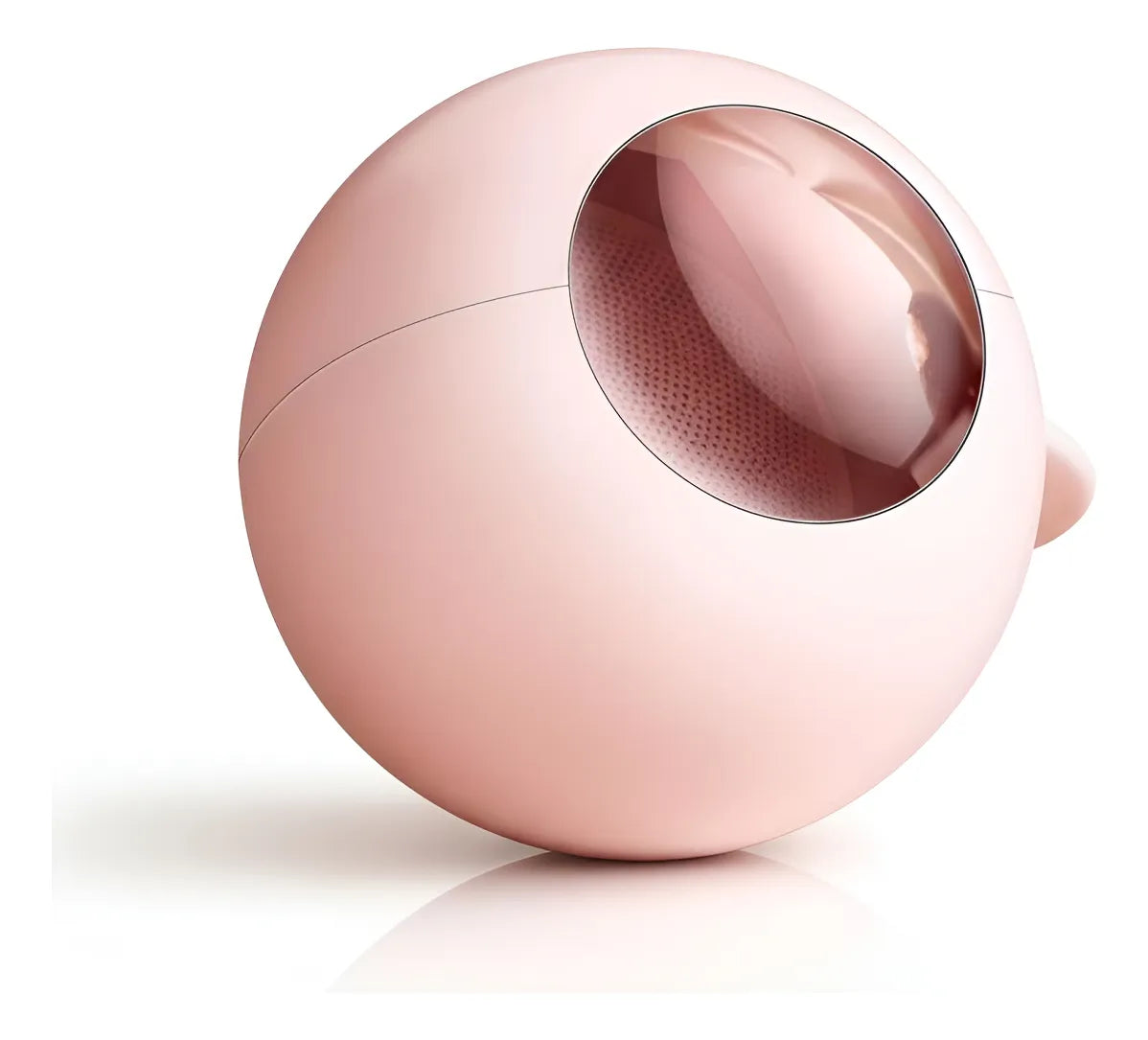 Pelota Pegajosa Quitapelos y Pelusas